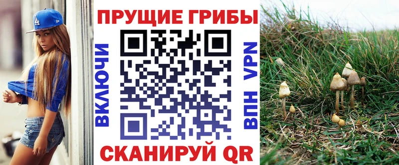 Псилоцибиновые грибы прущие грибы  blacksprut ТОР  Саяногорск 